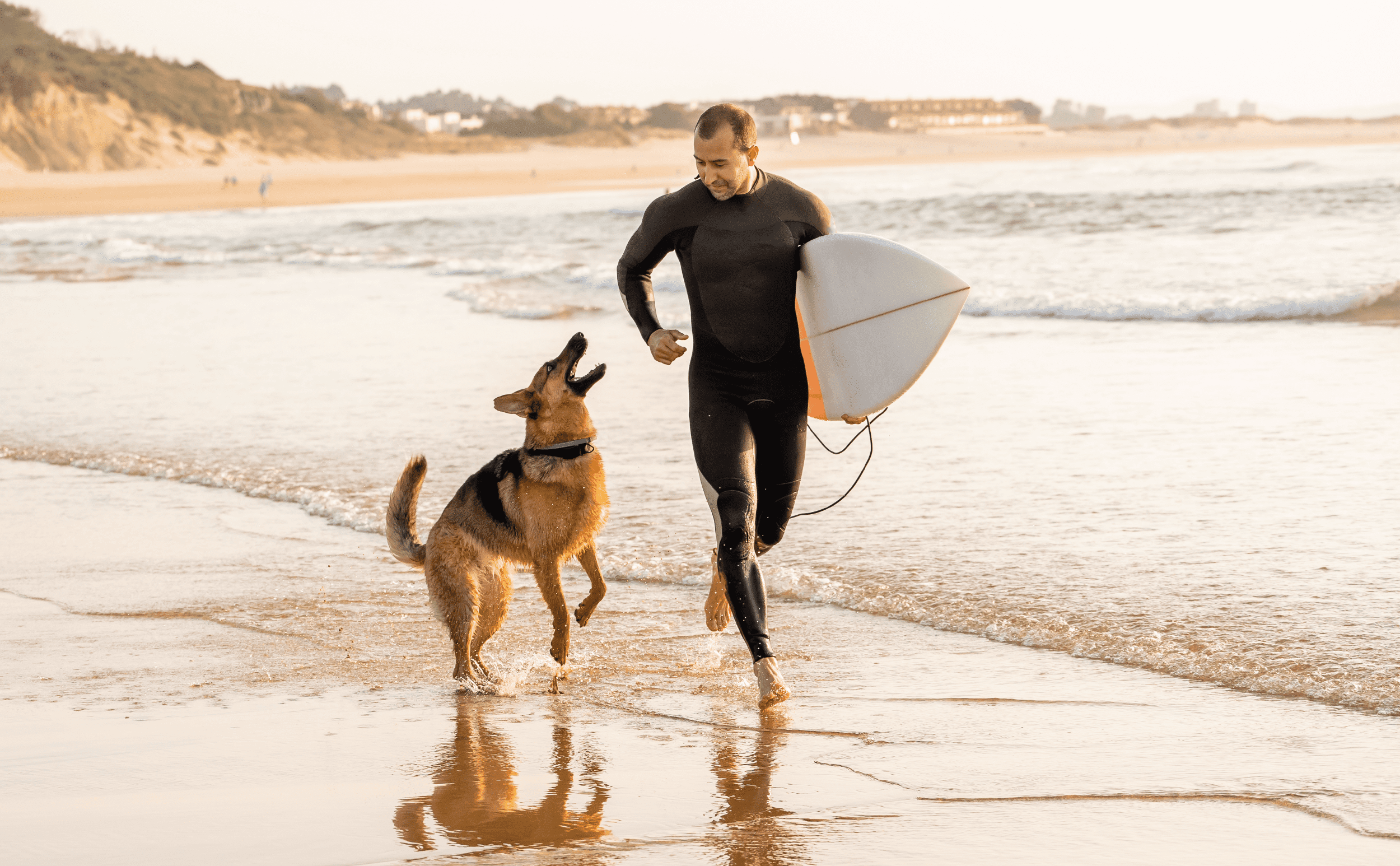 Year Round Dog Friendly Beaches In The South West